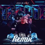 Te Bote (Remix)