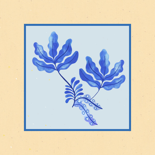 Prana