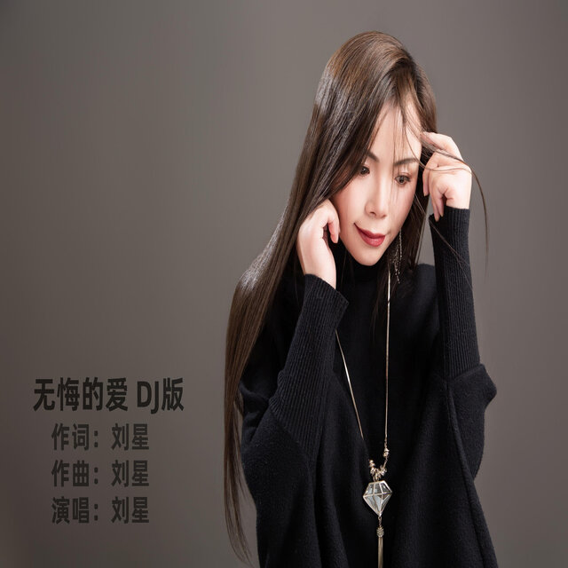 无悔的爱 (DJ版)