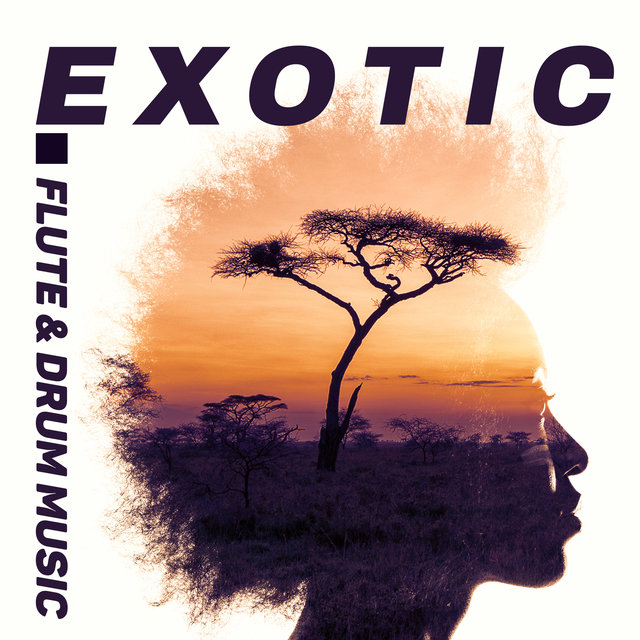 Exotic Flute & Drum Music. Deep Experiences of Freedom & Unity with Nature
