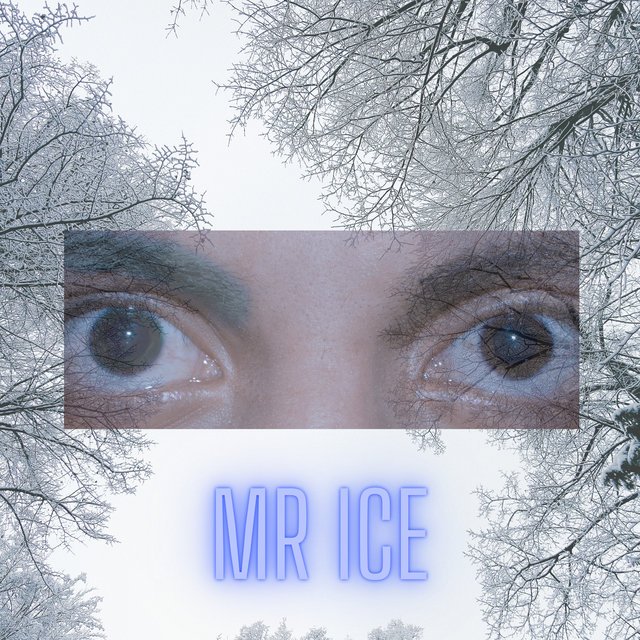 Mr Ice