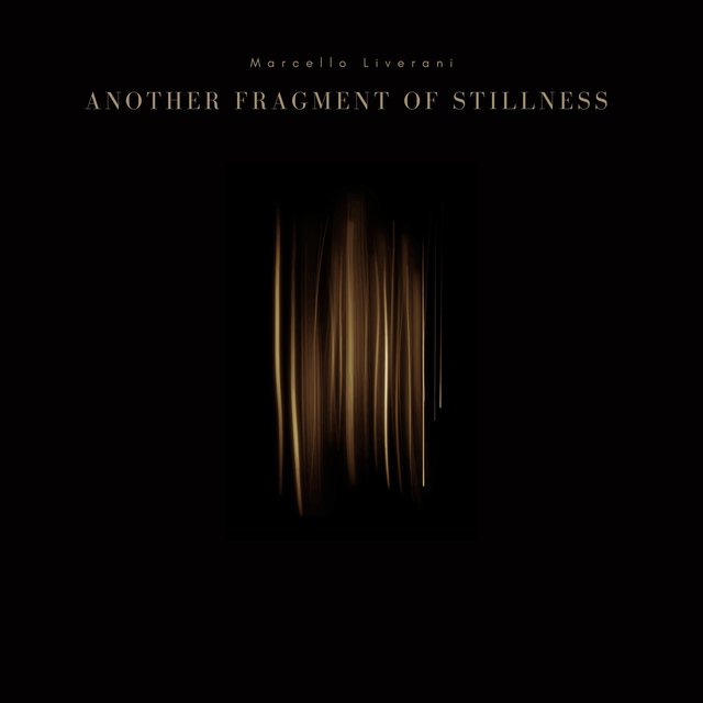 Another Fragment Of Stillness