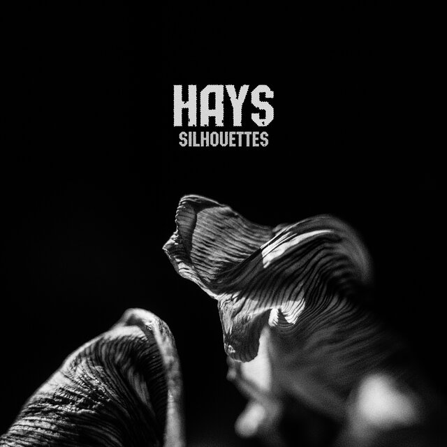 Silhouettes