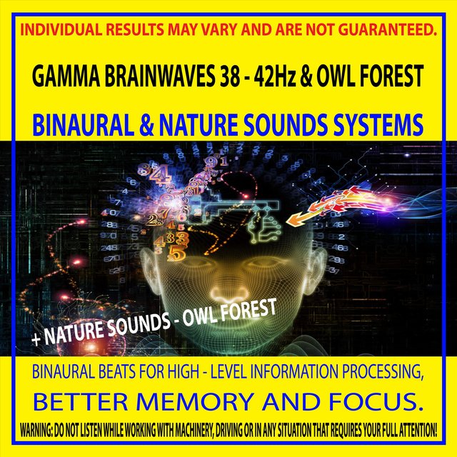 Gamma Brainwaves 38 - 42Hz & Owl Forest