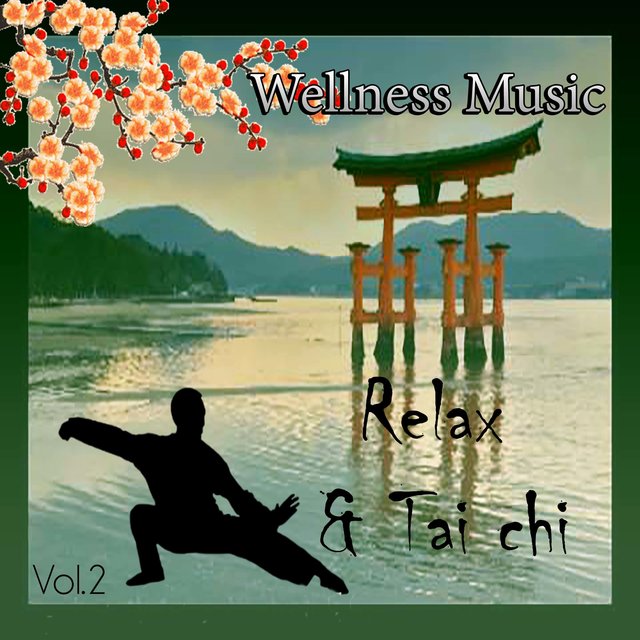 Wellness Music - Relax & Tai Chi, Vol. 2