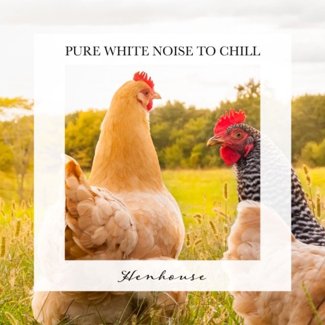 Henhouse: Pure White Noise to Chill