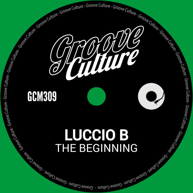 The Beginning