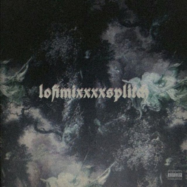 Lofimixxxxsplitch