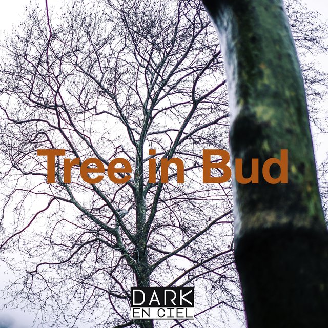 Tree in Bud