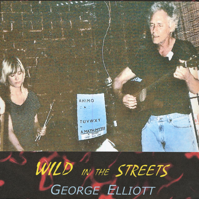 WILD IN THE STREETS