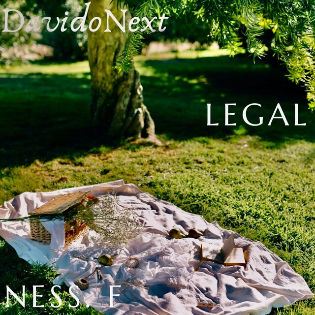 Legal (Radio Edit)