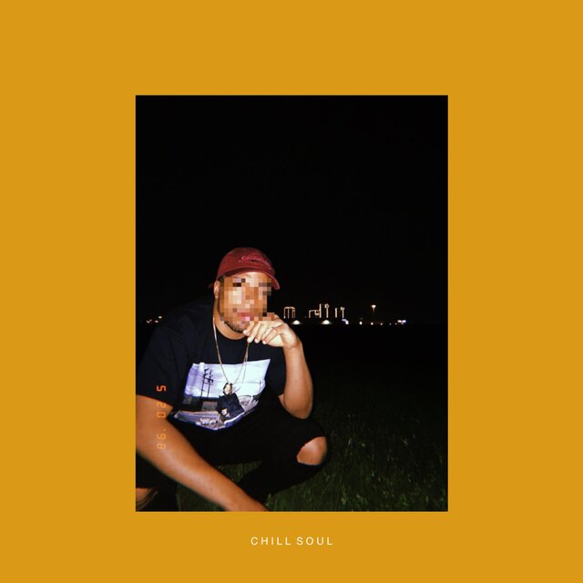 Chill Soul: The Album
