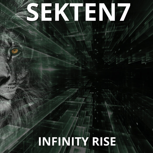 INFINITE RISE