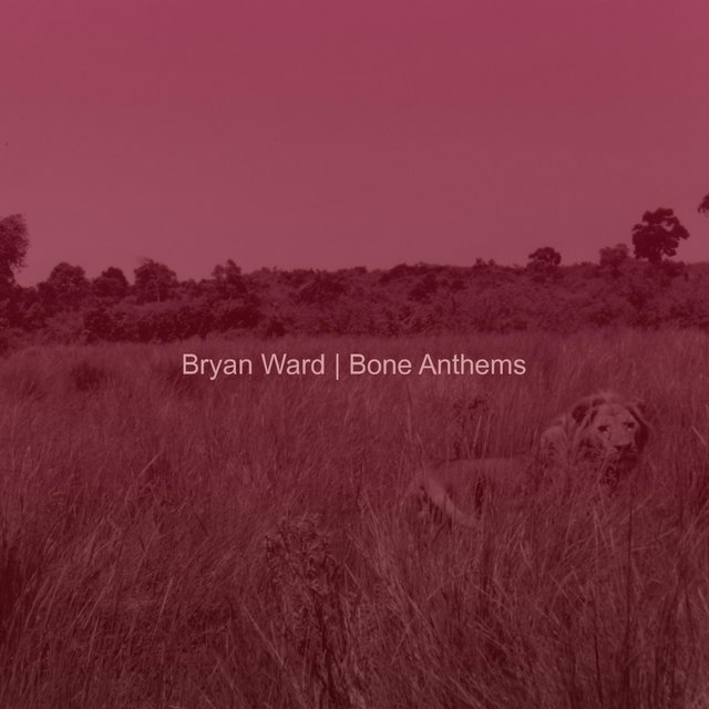 Bone Anthems