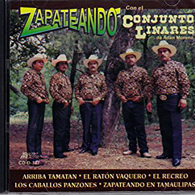 Zapateando Con El Conjunto Linares