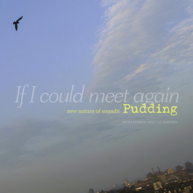 If I Could Meet Again (Remastered Deluxe Edition)