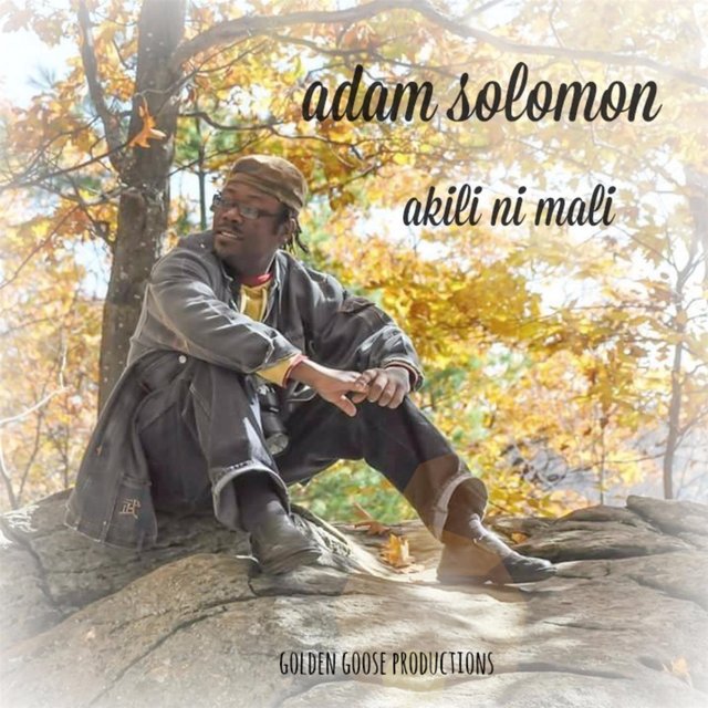 Akili Ni Mali