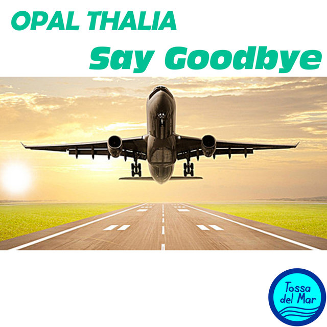 Say Goodbye