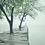Peaceful Rain
