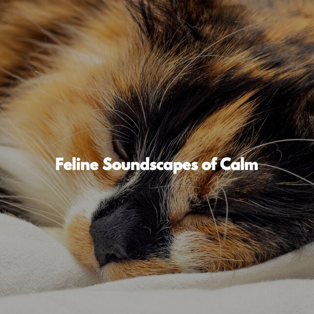 Feline Soundscapes of Calm
