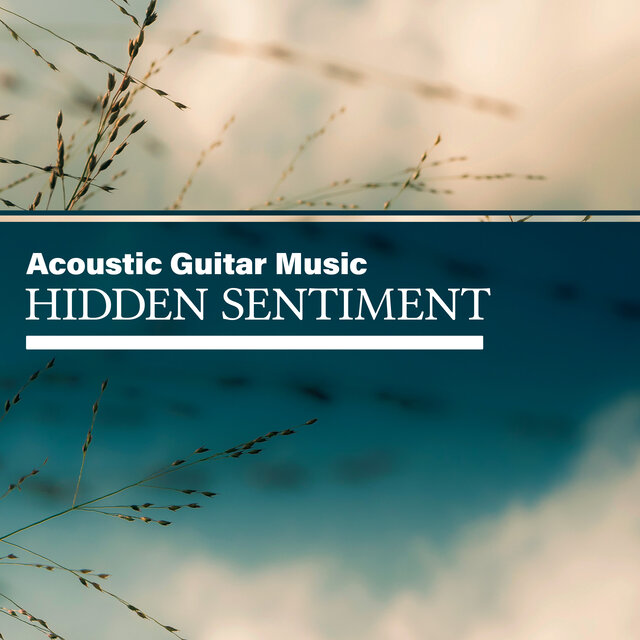 Hidden Sentiment
