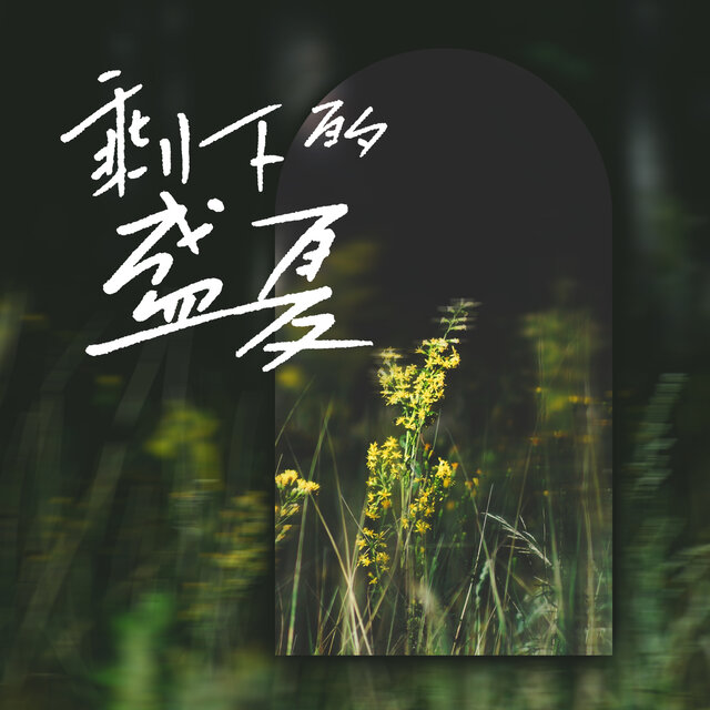 剩下的盛夏