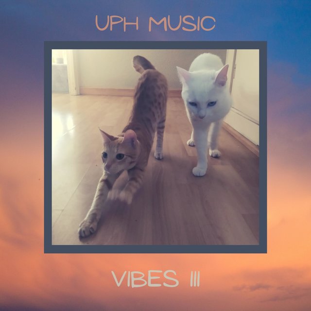Vibes III