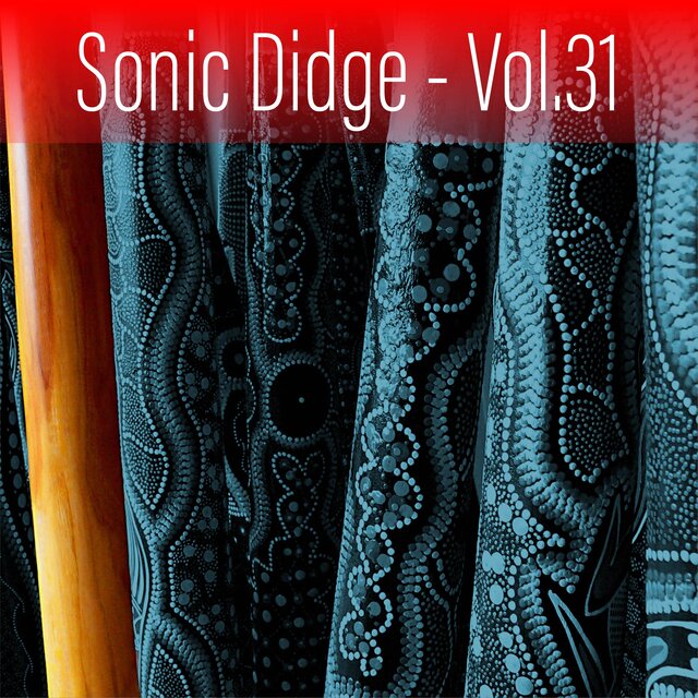 Sonic Didge, Vol. 31