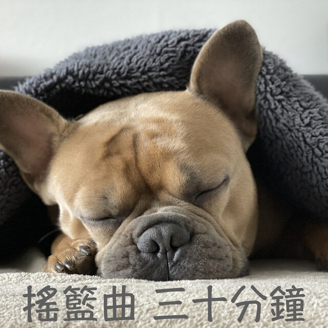搖籃曲：三十分鐘不間斷、寶寶睡、安眠音樂、安心睡
