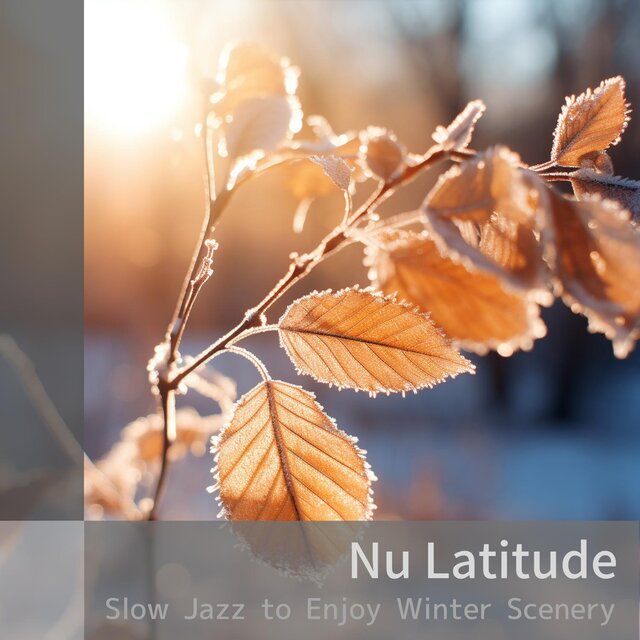 Slow Jazz to Enjoy Winter Scenery