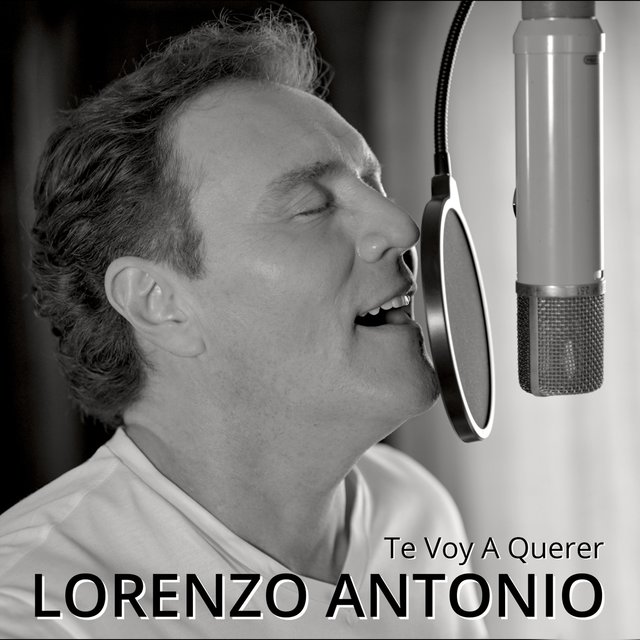 Te Voy a Querer