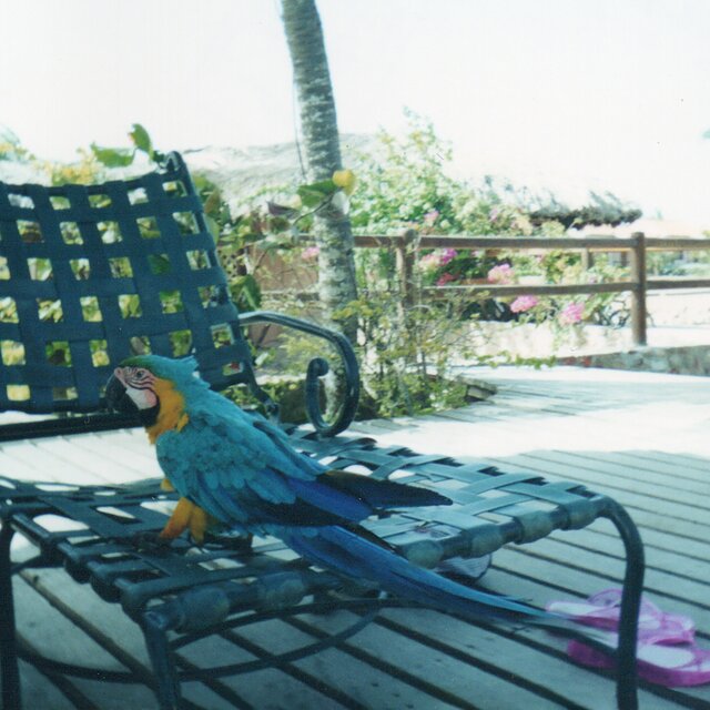 Isla Margarita