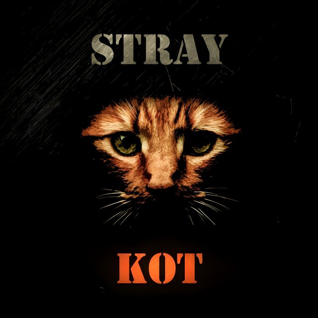 Кот