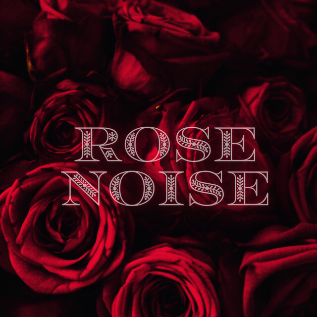 Rose Noise