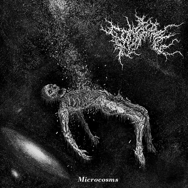Microcosms