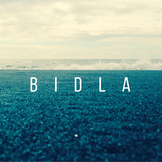 Bidla