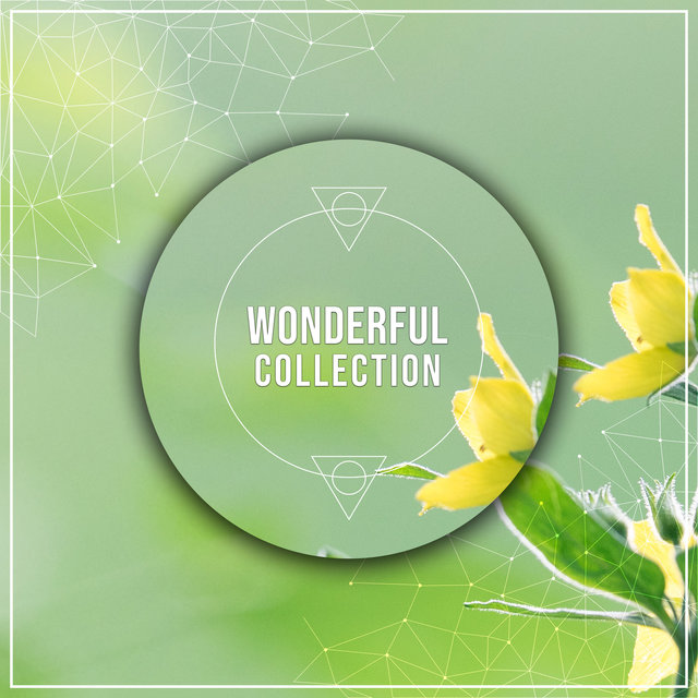 #16 Wonderful Collection for Reiki & Anxiety Relief