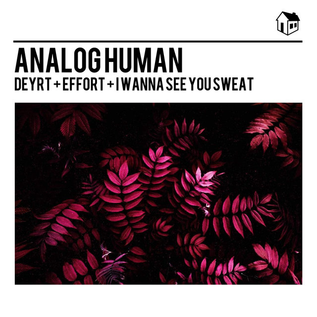 Deyrt + Effort + I Wanna See You Sweat