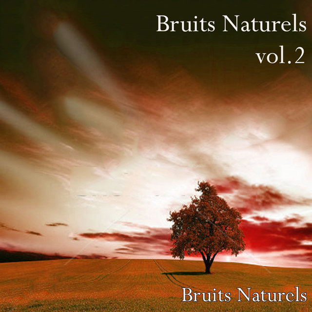 Bruits naturels, Vol. 2