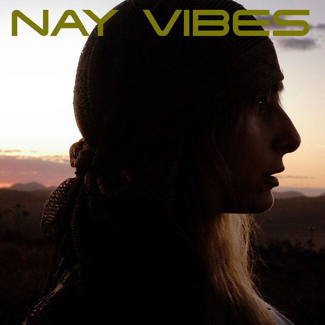 Nay Vibes Forró
