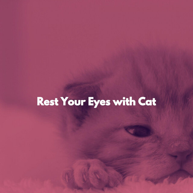 Rest Your Eyes with Cat