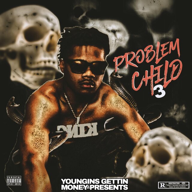 Problem Child 3