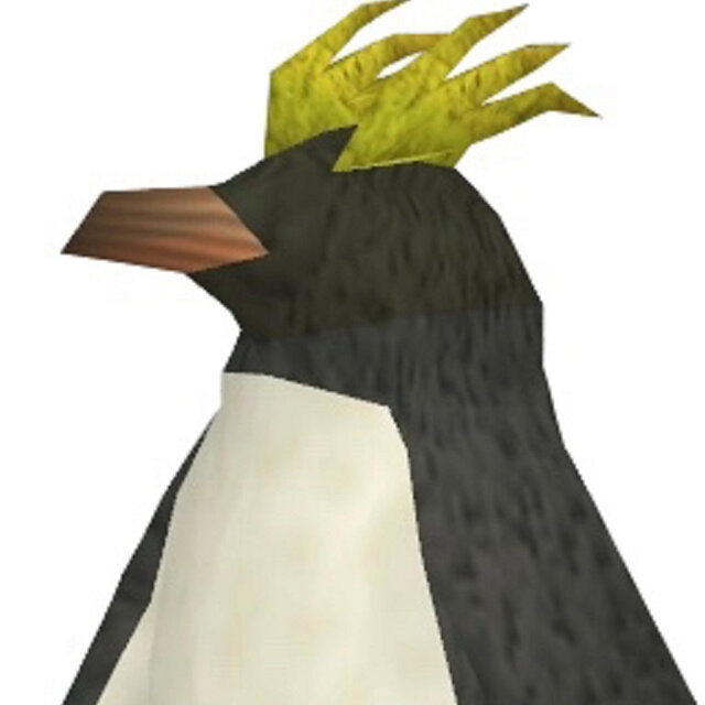 macaroni penguins