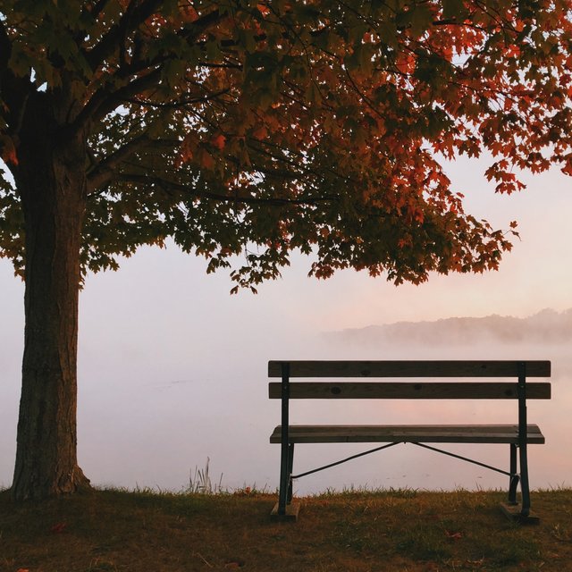 Cover art for album When It Snowed In September by Rahul Chaturvedi