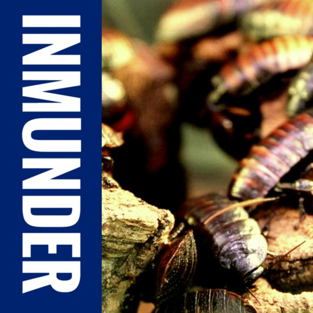 INMUNDER
