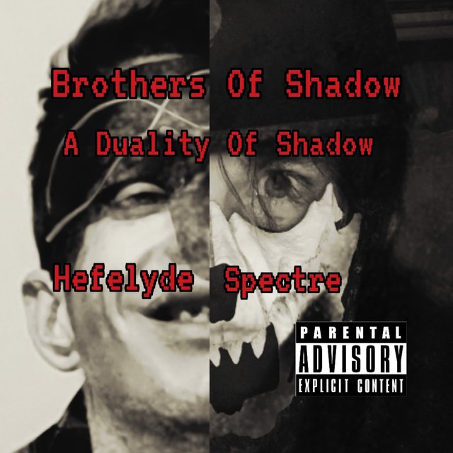 A Duality of Shadow