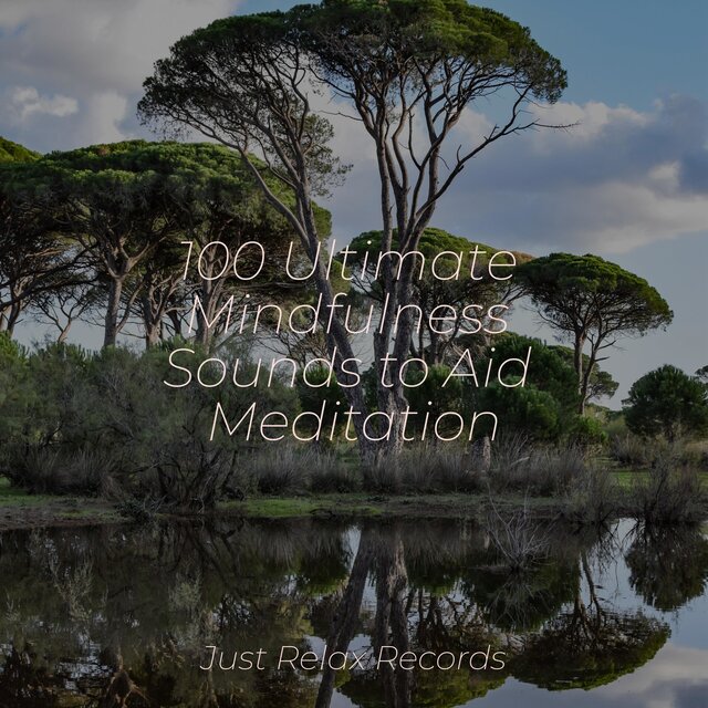 100 Ultimate Mindfulness Sounds to Aid Meditation