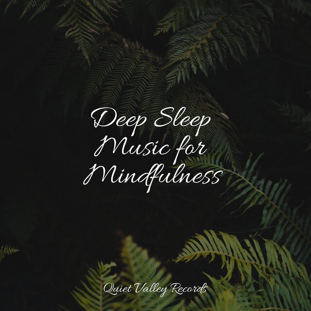 Deep Sleep Music for Mindfulness