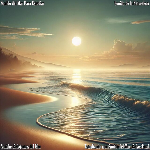 Estudiando Con Sonido del Mar, Relax Total