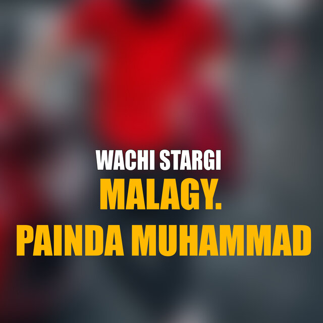 Wachi Stargi
